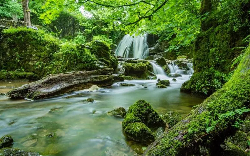 绿色高端